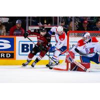 Vancouver Giants left wing Michal Kvasnica vs. the  Spokane Chiefs