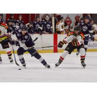 Wilkes-Barre/Scranton Knights vs. the Maine Black Bears