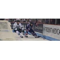 South Carolina Stingrays forward Mark Cooper handles the puck vs. the Florida Everblades