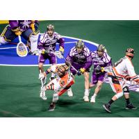 The Georgia Swarm defense sets up against the Buffalo Bandits