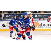 Kitchener Rangers left wing Mike Petizian vs. the Windsor Spitfires