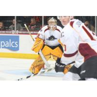 Cleveland Monsters goaltender Brad Thiessen