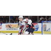 South Carolina Stingrays forward Dylan Steman