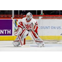 Grand Rapids Griffins goaltender Pat Nagle