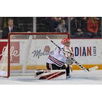 Niagara IceDogs goaltender Tucker Tynan