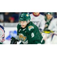 Dawson Butt of the Everett Silvertips