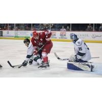 Jared VanWormer of the Allen Americans works against the Utah Grizzlies