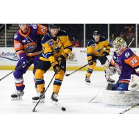 Atlanta Gladiators forward Eric Neiley vs. the Orlando Solar Bears