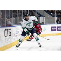 Florida Everblades forward Cam Maclise vs. the Kalamazoo Wings