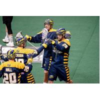 Georgia Swarm celebrate a goal