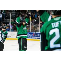 Texas Stars defenseman Stephen Johns
