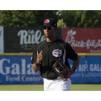 Hickory Crawdads centerfielder Leody Taveras