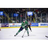 Florida Everblades forward Cam Maclise