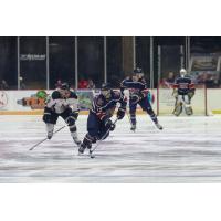 Macon Mayhem right wing Stepan Timofeyev vs. the Fayetteville Marksmen