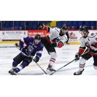 Adirondack Thunder defend against the Reading Royals
