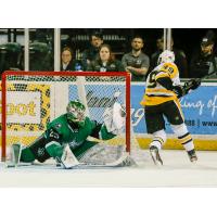 Texas Stars goaltender Jake Oettinger makes a save against the Wilkes-Barre/Scranton Penguins