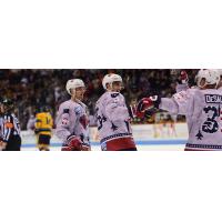 South Carolina Stingrays celebrate a goal