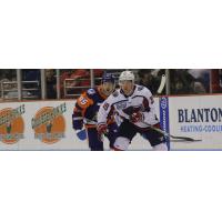 Dan DeSalvo of the South Carolina Stingrays vs. the Orlando Solar Bears