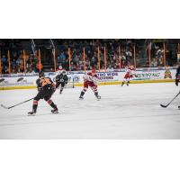 Allen Americans vs. the Kansas City Mavericks