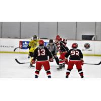 Port Huron Prowlers vs. the Battle Creek Rumble Bees
