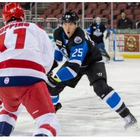 Wichita Thunder defenseman Vincent Desharnais