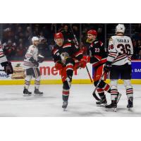 Grand Rapids Griffins react after a goal