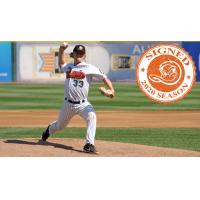 Long Island Ducks pitcher Brendan Feldmann