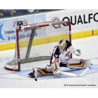 Johnstown Tomahawks goaltender David Tomeo