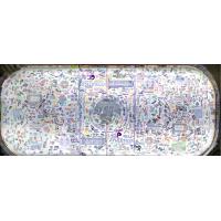 Quad City Storm Hockey Fights Cancer ice painting