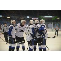 Saint John Sea Dogs huddle up after a goal against the Gatineau Olympiques