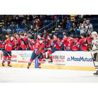 Springfield Thunderbirds receive congratulations from their bench