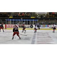 Port Huron Prowlers vs. the Danville Dashers