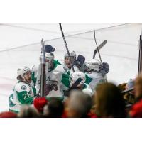 Texas Stars celebrate against the Rockford IceHogs