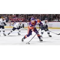 Orlando Solar Bears forward Tyler Bird vs. the Jacksonville IceMen
