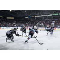 Kelowna Rockets vs. the Vancouver Giants