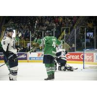 Florida Everblades defenseman Arvin Atwal