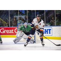 Florida Everblades goaltender Ken Appleby vs. the Greenville Swamp Rabbits