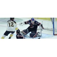 South Carolina Stingrays goaltender Logan Thompson vs. the Norfolk Admirals