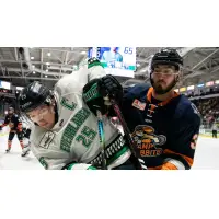 Greenville Swamp Rabbits battle the Florida Everblades