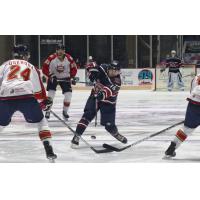 Macon Mayhem defenseman Ben Campbell vs. the Peoria Rivermen