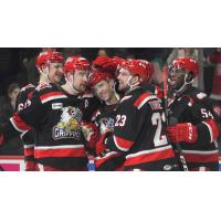 Grand Rapids Griffins celebrate