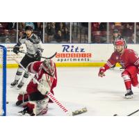 Allen Americans goaltender Jake Paterson lunges for a puck against the Utah Grizzlies