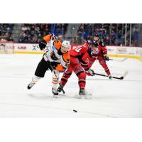 Lehigh Valley Phantoms left wing Max Willman (left) vs. the Hartford Wolf Pack