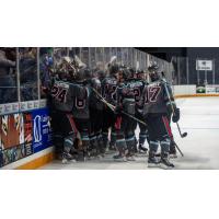 Columbus River Dragons celebrate in front of the fans