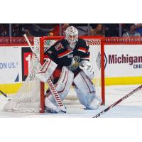 Grand Rapids Griffins goaltender Calvin Pickard