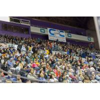 Sellout crowd at Bay Center, home of the Pensacola Ice Flyers