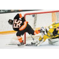 Kendall Bolen-Porter of the Danbury Hat Tricks scores against the Battle Creek Rumble Bees