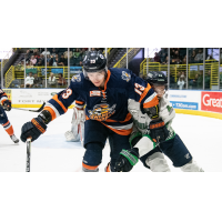 Greenville Swamp Rabbits forward Cameron Nault vs. the Florida Everblades
