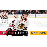 Portland Winterhawks forward Seth Jarvis