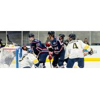 South Carolina Stingrays forward Tim Harrison (27) and defenseman Jaynen Rissling (44)